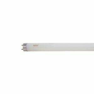 Lâmpada Fluorescente Tubular 18W T8 Taschibra