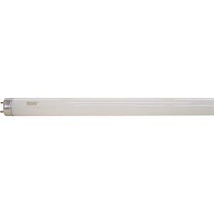Lâmpada Fluorescente Tubular Taschibra 36W T8