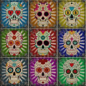 Faixa Decorativa Sofistiq 15x15 Color Skull