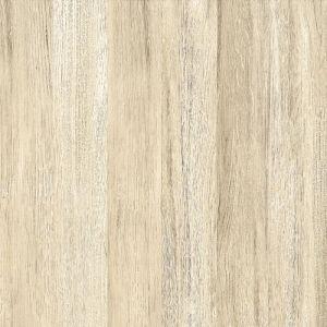 Piso Cerâmico Tauari Retificado Brilhante 61x61 Ilhabella Piso Cerâmico Tauari Retificado Brilhante 61x61 Ilhabella