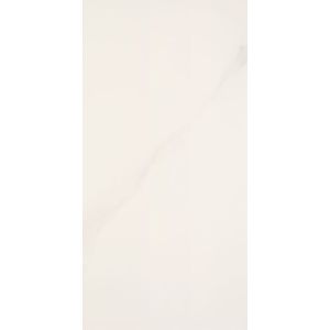 Porcelanato Michelangelo Retificado Natural 60x120cm Portobello