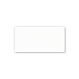 Revestimento Parede Plus Branco Retificado Brilhante 38x75 Ilhabella