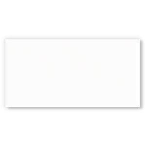 Piso Cerâmico Branco Mate PlusBranco Acetinado Retificado 37,4x74,4 Ilhabella
