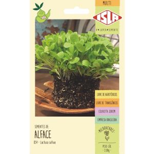 Semente Verdura Alface Cerbiatta Verde Isla 25gr