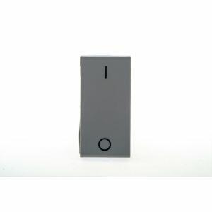 Módulo interruptor Bipolar Plus+ Legrand 612005cz 10A cinza acetinado Pial