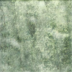 Revestimento Parede Gloss Ivy Verde Bold Polido 20x20 Pierini