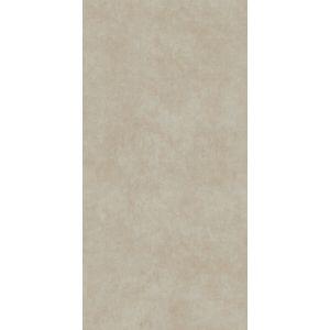 Porcelanato York Sgr Retificado Natural 58,4x117 Portinari
