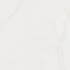 Porcelanato Cassini Brut Retificado Mate 100x100 Eliane