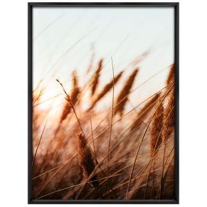 Quadro 50x70cm Trigo Tropical Artes