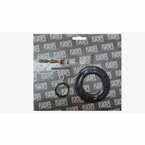 Kit Reparo Agulha para Pistola Power Spray 410/550 Preto Nauber Máquinas