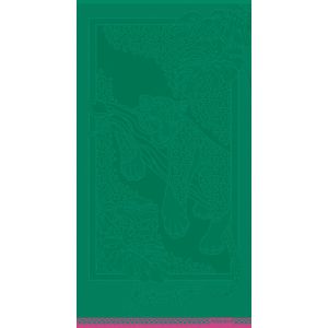 Toalha de Praia Yaguareté Verde 0,80x1,50m Atlântica