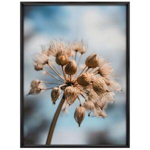 Quadro Dente Leao 50CM X 70CM Tropical Artes