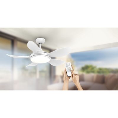 Ventilador de Teto com 5 Pás Vx25 Branco Arno