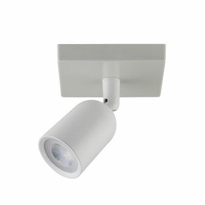 Spot 1 Lâmpada Direct Linear 6500K Taschibra
