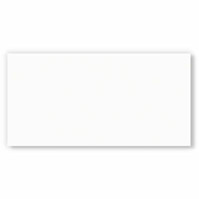 Piso Cerâmico Branco Mate PlusBranco Acetinado Retificado 37,4x74,4 Ilhabella