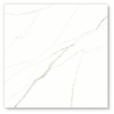 Porcelanato Statuário Ar24187 Retificado Acetinado 121x121 Damme