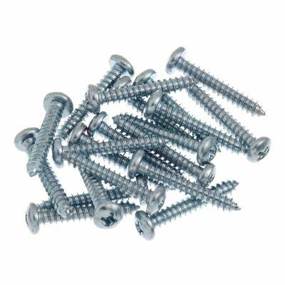 Parafuso de Ferro Bemfixa 3,9x25mm 10 Peças
