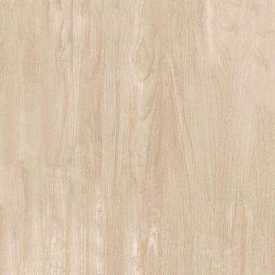 Piso Cerâmico Catania Lux Retificado Brilhante 68x68 Ilhabellla Piso Cerâmico Catania Lux Retificado Brilhante 68x68 Ilhabellla