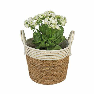 Cesta Decorativa com Alça 25x25x19cm Bege Fascino