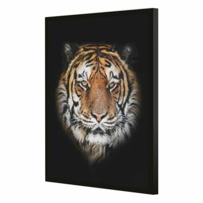 Quadro Tigre 50x70cm Preto Diagonal Quadro Tigre 50x70cm Preto Diagonal
