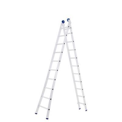 Escada Extensiva 2x10 Aluminio Mor