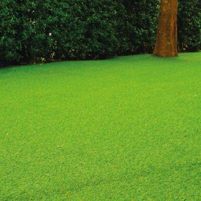 Grama Sintética 2x5m 20mm Verde Fascino