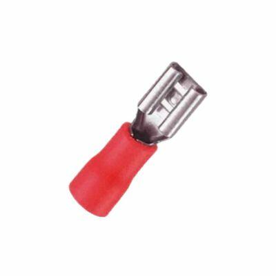 Terminal Receptor Fêmea 6,5mm 10 Peças Vermelho A Santos Terminal Receptor Fêmea 6,5mm 10 Peças Vermelho A Santos