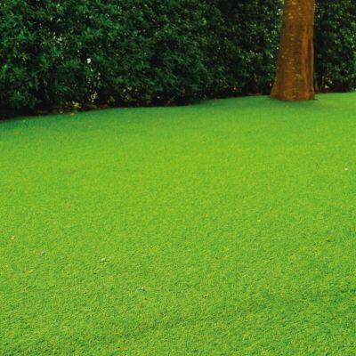Grama Sintética 1x5m 20mm Verde Fascino