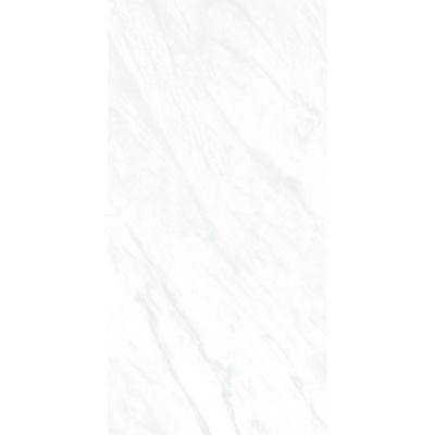 Porcelanato Frozen Satin Retificado Acetinado 60x120 Biancogres