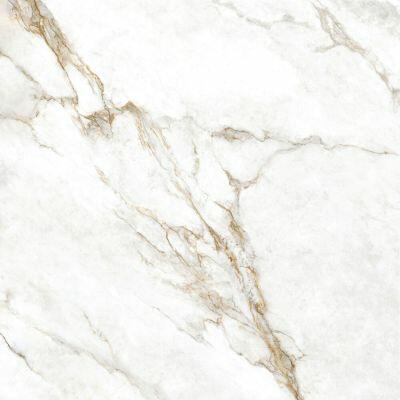Porcelanato Marmo Perla Lux Retificado Polido 120x120 Biancogres