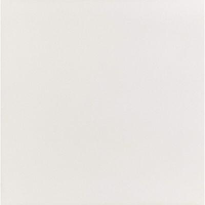 Porcelanato Bianco Master Retificado Polido 60x60 Elizabeth