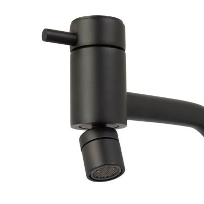 Torneira para Cozinha de Mesa Bica Alta 1/2" Lyn Preto Addra