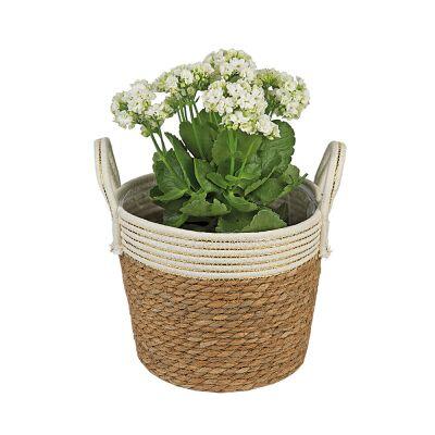 Cesta Decorativa com Alça 25x25x19cm Bege Fascino