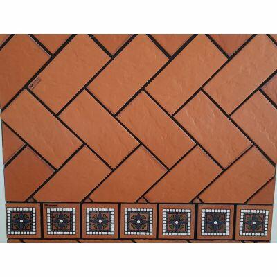 Tozzeto 100701 Terracota Extra 11,5x11,5cm Eurogres
