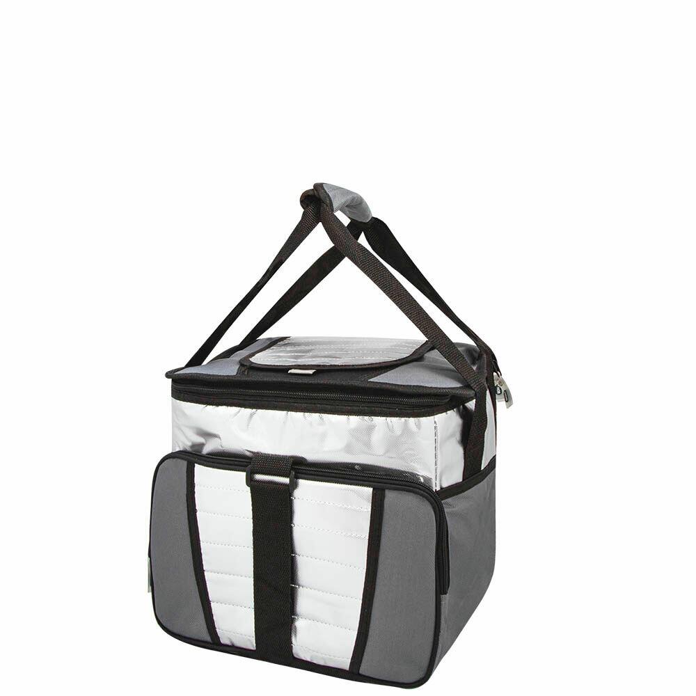 Bolsa Térmica Linha Ice Cooler 24L Azul Mor