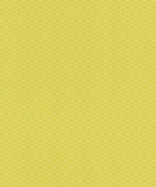 Papel de Parede Diagonal 0,53x10m Geo Circulos AM 800920