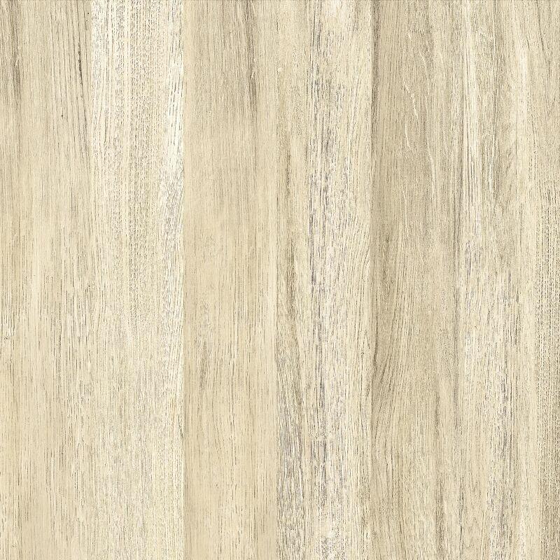 Piso Cerâmico Tauari Retificado Brilhante 61x61 Ilhabella