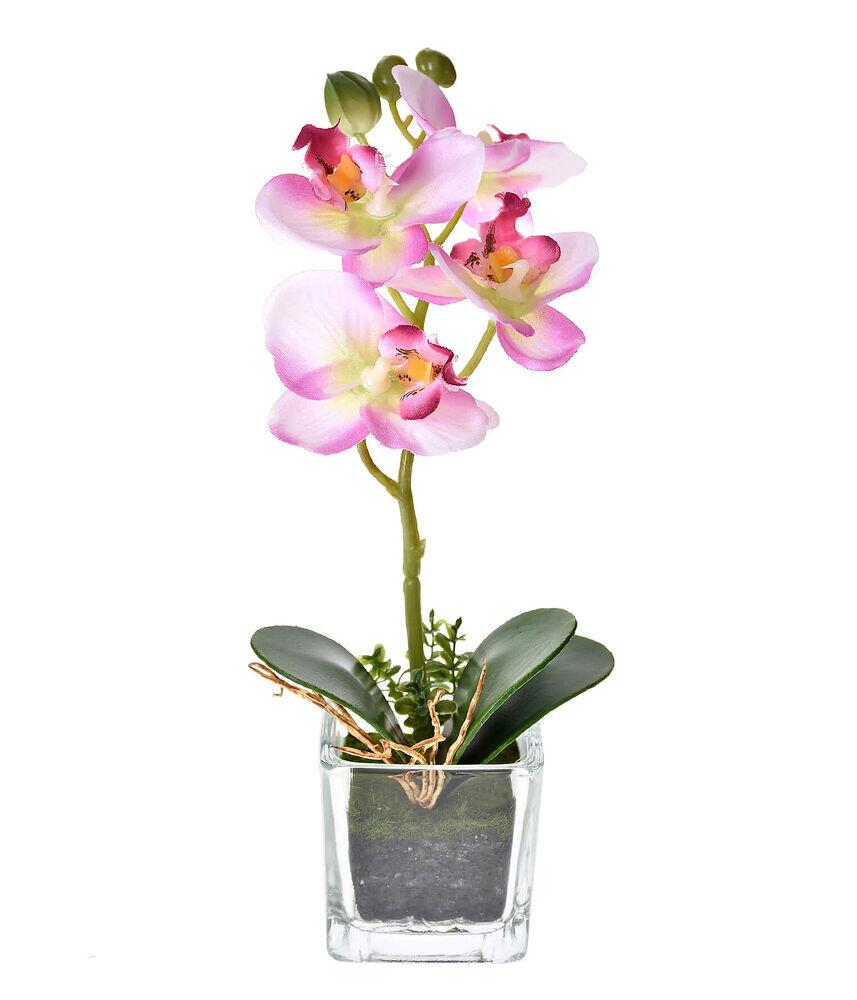 Haste Orquídea Grillo Cetim Rosa