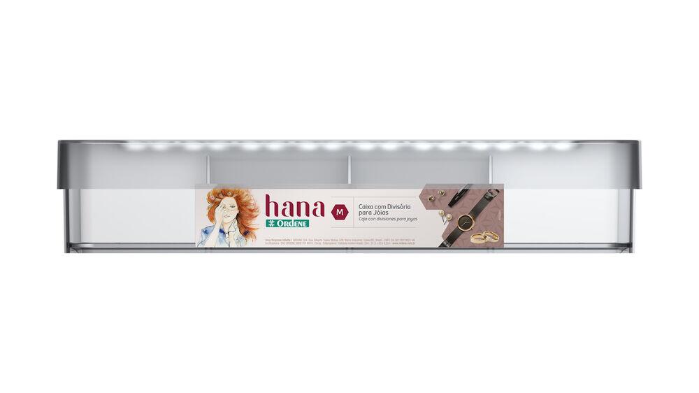 Organizador c/ Tampa e Divisória Hana Crsital 20x31,5x6,2cm