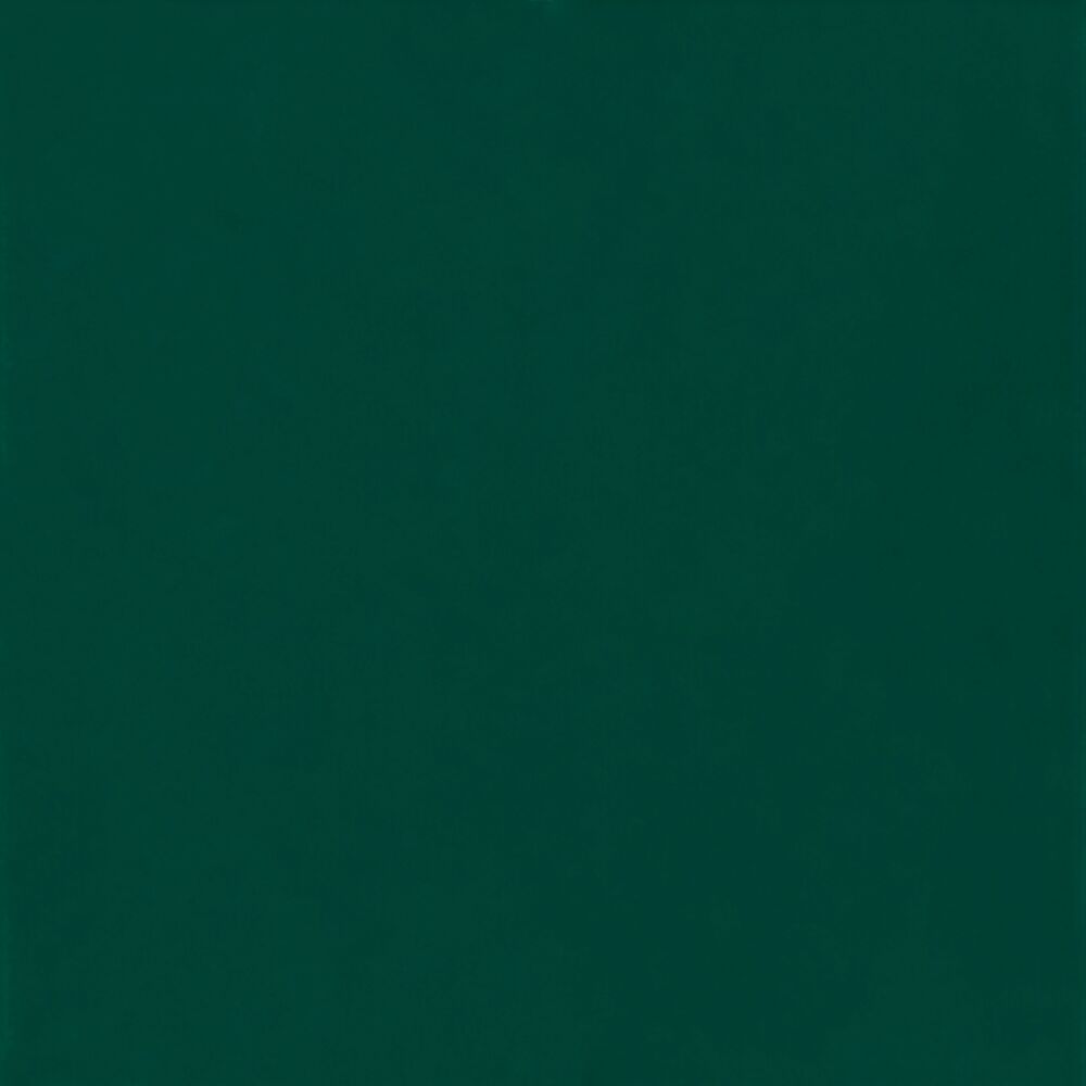 Piso Cerâmico Guarda 20x20 Esmaltado Bold Verde Pierini