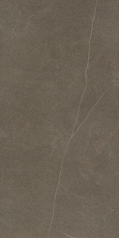 Porcelanato Apogeu 58,4x117 Retificado Portinari