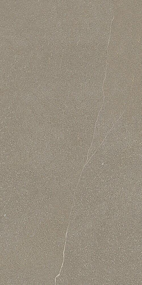 Porcelanato Apogeu DGR 28,4x117 Retificado Portinari