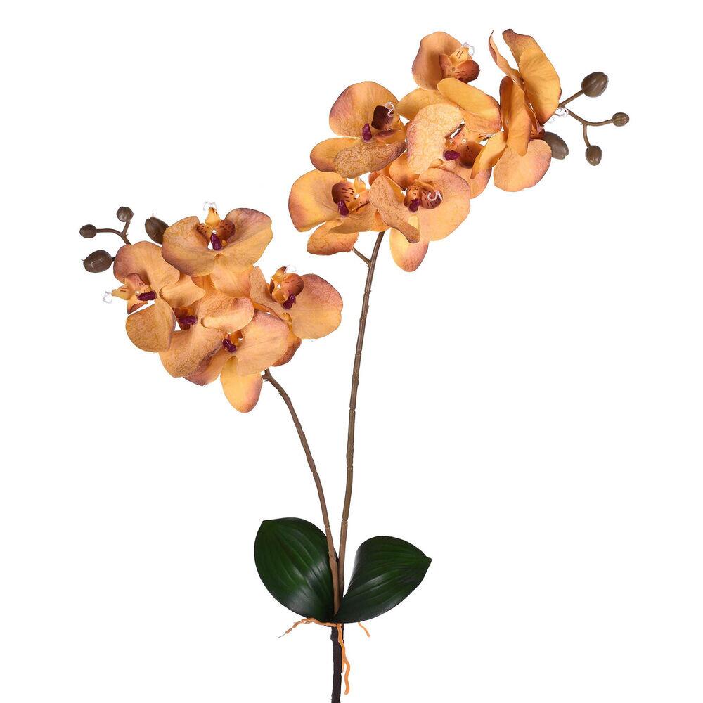 2 Flores em Haste Orquídea Amarelo Grillo