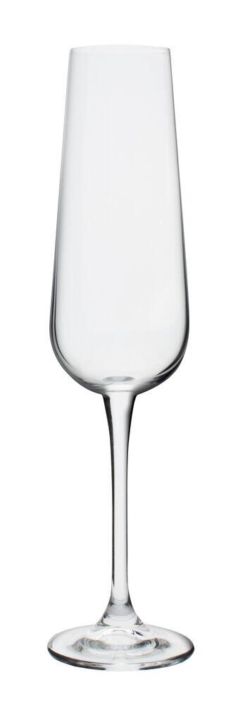 Taça de Cristal Bohemia Ardea Champangne 220ml Transparente