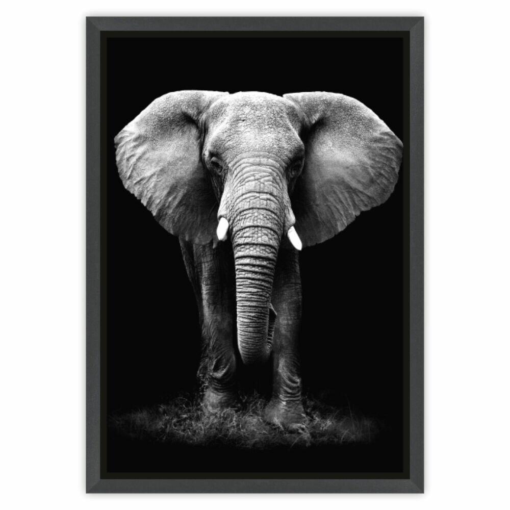 Quadro Tropical Artes 50x70cm Elefante Preto