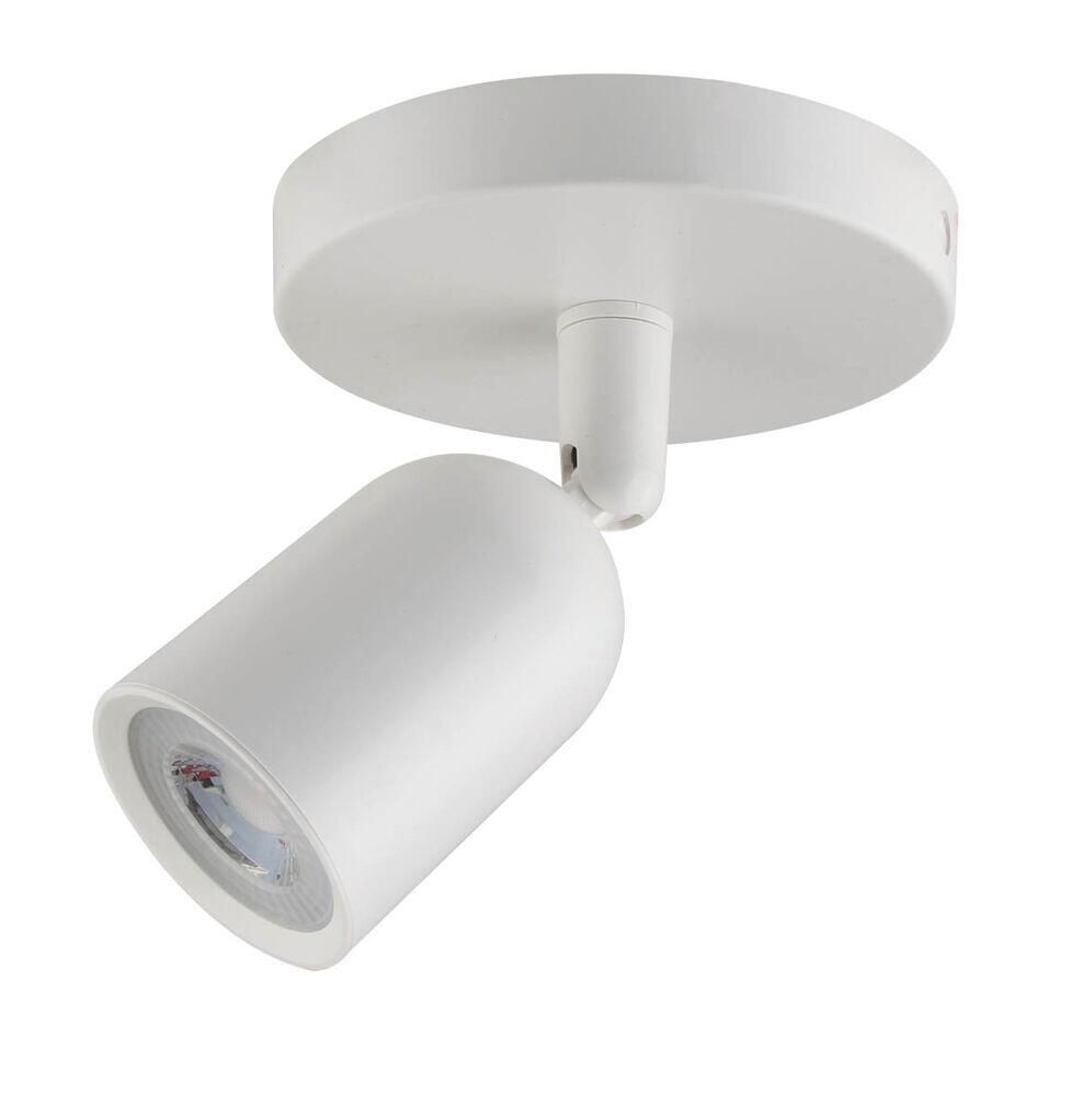 Spot LED Branco 5w 6.500k Luz Branco Frio Blumenau Iluminação