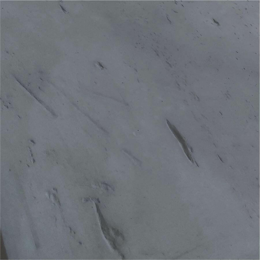 Piso Cimentício Travertino Grezzo Graphite 100x100x2 Interno Cimentíssimo