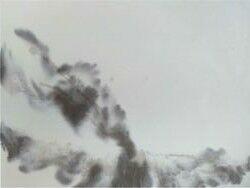 Piso Cimentício Compose Branco/Preto 75x100x2 Interno Cimentíssimo