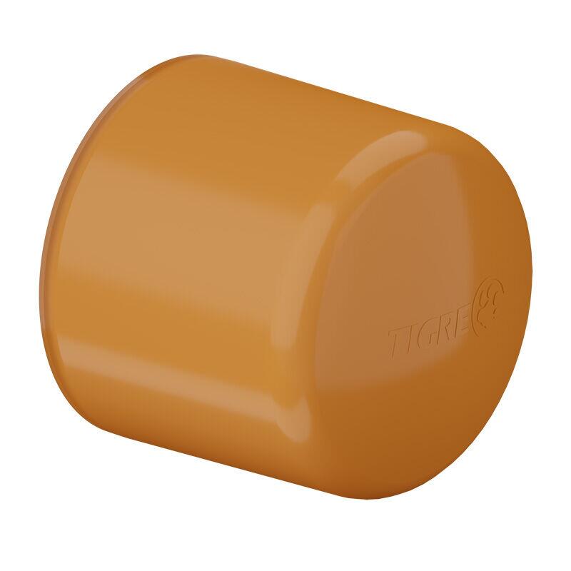 CAP 2