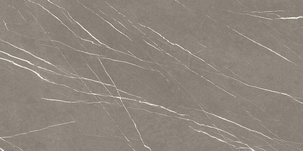 Porcelanato Armani Retificado Polido 61x120 Fendi Damme